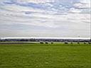 Schleppjagd-Rembruecken-2010_036.jpg
